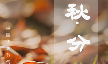 ibet·(集团)有限公司官网