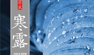 ibet·(集团)有限公司官网
