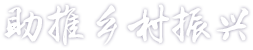 ibet·(集团)有限公司官网
